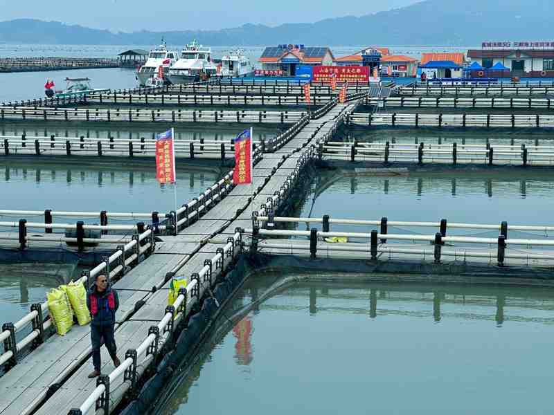 白基湾海域,大黄鱼竞速而出;从沉寂到繁盛,这片海见证奇迹。 新闻 白基湾海域,大黄鱼竞速而出;从沉寂到繁盛,这片海见证奇迹。 新闻 白基湾海域,大黄鱼竞速而出;从沉寂到繁盛,这片海见证奇迹。 新闻 白基湾海域,大黄鱼竞速而出;从沉寂到繁盛,这片海见证奇迹。 新闻