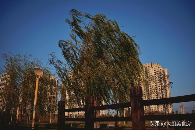 农谚气象学解密:二月十九晴雨规律与春旱防御的系统方法 文化旅游