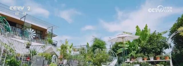 “小轻新”模式解码:湘峰村庭院经济如何用轻资产撬动微度假市场 文化旅游