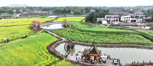 “小轻新”模式解码:湘峰村庭院经济如何用轻资产撬动微度假市场 文化旅游