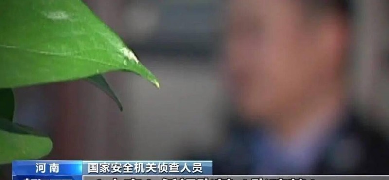 一个农村青年的歧路迷途:信念崩塌背后的国家安全警示录 文化旅游 一个农村青年的歧路迷途:信念崩塌背后的国家安全警示录 文化旅游