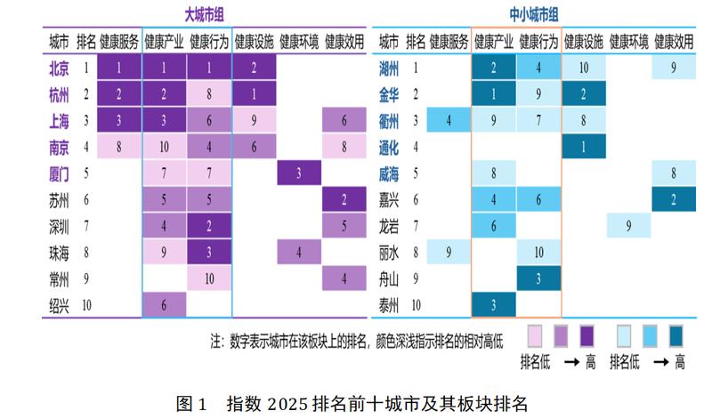 【健康指数深度解读】清华报告揭示城市健康密码:六大维度重塑公共卫生格局 健康养生 【健康指数深度解读】清华报告揭示城市健康密码:六大维度重塑公共卫生格局 健康养生