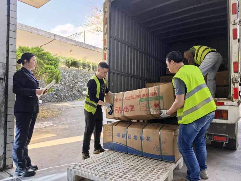 时效破局:铁路冷链如何重塑百合花供应链 新闻 时效破局:铁路冷链如何重塑百合花供应链 新闻 时效破局:铁路冷链如何重塑百合花供应链 新闻