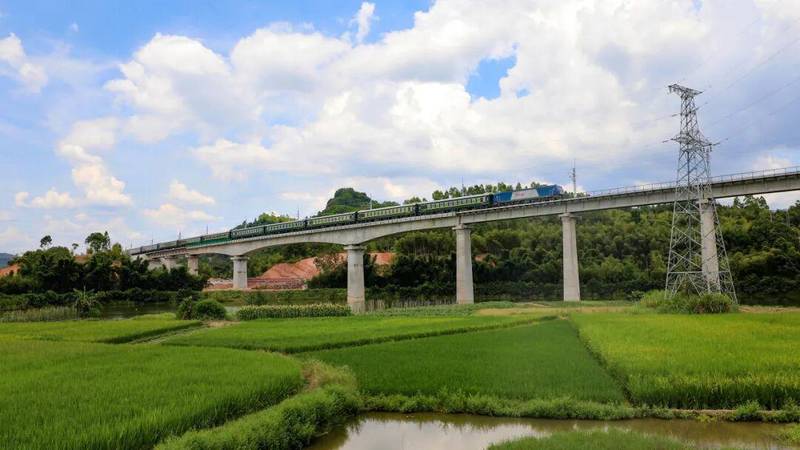时效破局:铁路冷链如何重塑百合花供应链 新闻 时效破局:铁路冷链如何重塑百合花供应链 新闻 时效破局:铁路冷链如何重塑百合花供应链 新闻