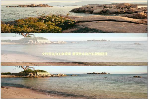 文件遗失的无奈瞬间 重获数字资产的便捷路径 文件遗失的无奈瞬间 重获数字资产的便捷路径 新闻
