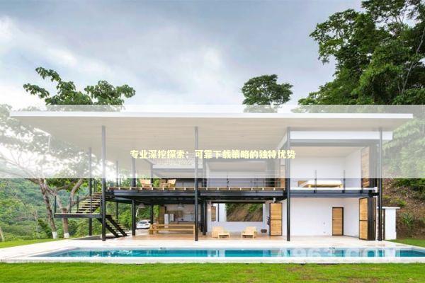 专业深挖探索：可靠下载策略的独特优势