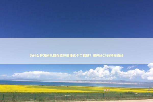 为什么开发团队都在疯狂追捧这个工具链？揭开MCP的神秘面纱