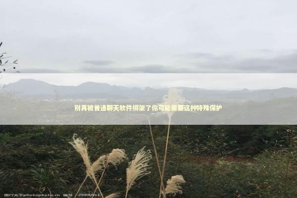 别再被普通聊天软件绑架了你可能需要这种特殊保护